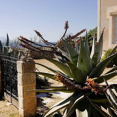 Villa Casa Stornello *